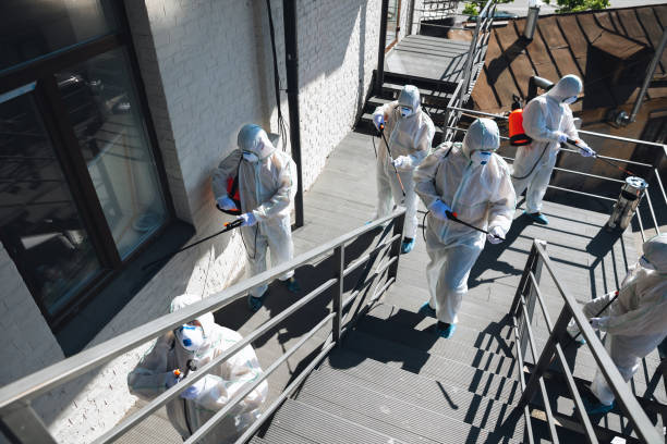 Best Crawl Space Mold Remediation  in North Merrick, NY