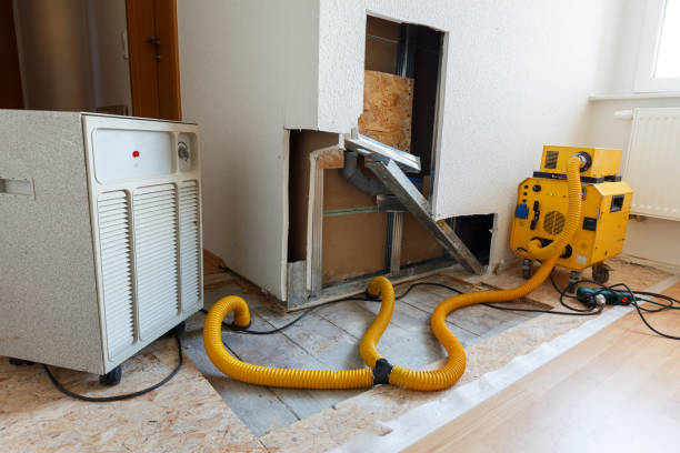 Best Basement Mold Removal  in North Merrick, NY